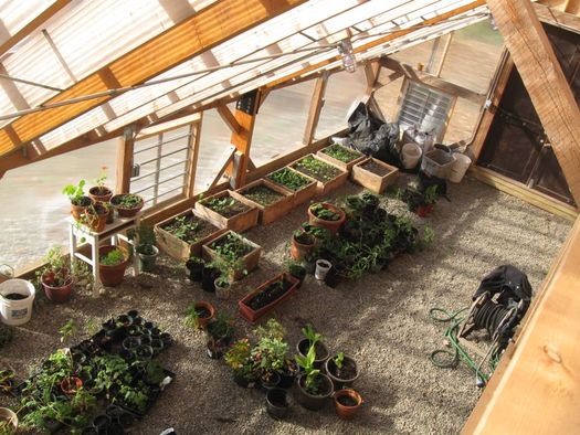 radix center greenhouse